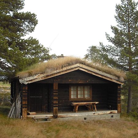 Lusaeter Timber Cabins Heidal Szoba fotó
