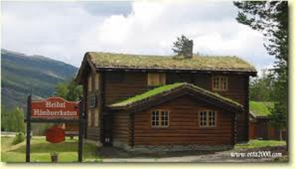 Lusaeter Timber Cabins Heidal Kültér fotó
